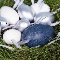 Produkt Jajo Emu Nature 12cm - 14cm 1szt.