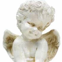 Produkt Siedzisko Angel Edge W8cm 4 szt