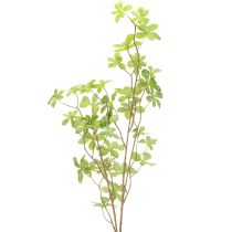 Produkt Sztuczna gałązka schefflery, elegancka ozdoba roślinna do pomieszczeń mieszkalnych, 95 cm