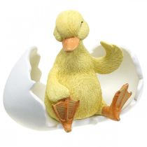 Wyklute pisklę, figurka kaczki, kaczątko w jajku wys.10cm szer.12.5cm