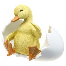 Produkt Wyklute pisklę, figurka kaczki, kaczątko w jajku wys.10cm szer.12.5cm