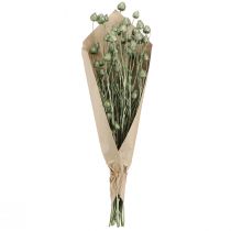 Produkt Osty truskawkowe w kolorze metalicznej zieleni Ø1cm–2cm L55cm 100g