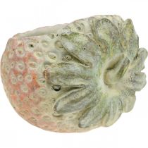 Produkt Dekoracyjna truskawka, doniczka, betonowa dekoracja do sadzenia L17cm