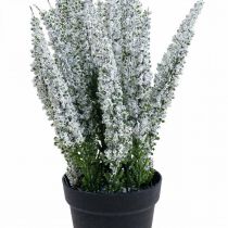 Produkt Erika biała miotła wrzosu sztuczna roślina wrzosu wys. 26 cm