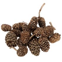 Produkt Szyszki olchowe, produkt naturalny do dekoracji i rękodzieła, złote, 3 cm, 300 g