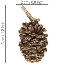 Produkt Szyszki olchowe, produkt naturalny do dekoracji i rękodzieła, złote, 3 cm, 300 g