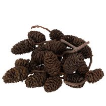 Produkt Szyszki olchowe naturalne, luzem, do dekoracji, 3cm, 300g, naturalny brąz.