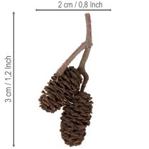 Produkt Szyszki olchowe naturalne, luzem, do dekoracji, 3cm, 300g, naturalny brąz.