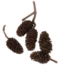 Produkt Szyszki olchowe naturalne, luzem, do dekoracji, 3cm, 300g, naturalny brąz.