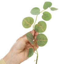 Produkt Gałązka eukaliptusa dekoracyjna, idealna dekoracja stołu, 120 cm