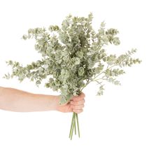 Produkt Sztuczna gałązka eukaliptusa, ozdobna do wazonów i bukietów, 49 cm, 4 sztuki