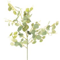 Produkt Sztuczna gałązka eukaliptusa z okrągłymi liśćmi, 75 cm, 4 sztuki