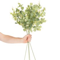 Produkt Sztuczna gałązka eukaliptusa z okrągłymi liśćmi, 75 cm, 4 sztuki