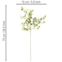 Produkt Sztuczna gałązka eukaliptusa z okrągłymi liśćmi, 75 cm, 4 sztuki