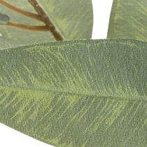 Produkt Sztuczna gałązka eukaliptusa, naturalna zieleń, dekoracja, 100 cm