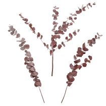 Produkt Gałązki eukaliptusa, eukaliptus konserwowany, kwiaty suszone, czerwone, 75 cm, 150 g