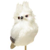 Produkt Sowa na patyku biała 9cm L48cm