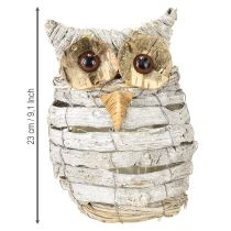Produkt Sowa do sadzenia biała 23cm