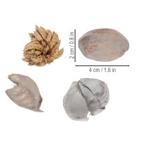 Produkt Dekoracja stołu w formie potpourri z orzechami, która nada naturalny, letni klimat