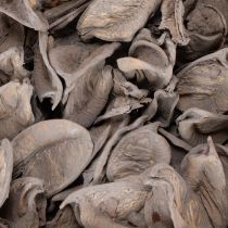 Produkt Dekoracja stołu w formie potpourri z orzechami, która nada naturalny, letni klimat