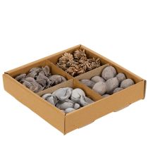Produkt Dekoracja stołu w formie potpourri z orzechami, która nada naturalny, letni klimat
