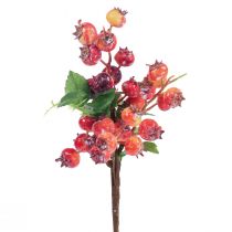 Dekoracja z dzikiej róży Gałązka dzikiej róży Sztuczna gałąź dekoracyjna 35cm