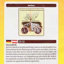 Produkt Ziemia grobowa FRUX (10 litrów)