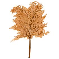 Produkt Pomarańczowa konserwowana paproć, dekoracja 45 cm, 10 sztuk, dekoracja domu DIY