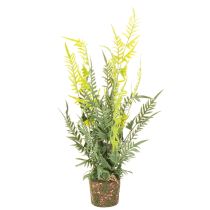 Produkt Sztuczna paproć z bryłą korzeniową do dekoracji domu i biura, 57 cm