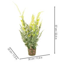 Produkt Sztuczna paproć z bryłą korzeniową do dekoracji domu i biura, 57 cm