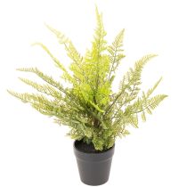 Produkt Sztuczna paproć w doniczce do zieleni wewnętrznej, 40 cm
