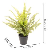 Produkt Sztuczna paproć w doniczce do zieleni wewnętrznej, 40 cm