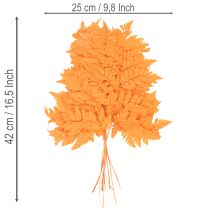 Produkt Suszone i konserwowane liście paproci do florystyki i dekoracji jesiennych, 42 cm, 10 szt.