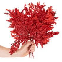 Produkt Zakonserwowane i barwione liście paproci, prawdziwa paproć do jesiennych kompozycji, 42 cm, 10 sztuk