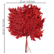 Produkt Zakonserwowane i barwione liście paproci, prawdziwa paproć do jesiennych kompozycji, 42 cm, 10 sztuk