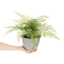 Produkt Sztuczna paproć w doniczce do salonu i biura, 35 cm