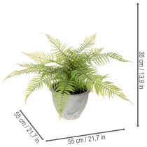 Produkt Sztuczna paproć w doniczce do salonu i biura, 35 cm