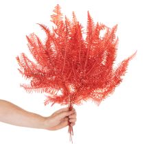 Produkt Paprocie, suszone kwiaty, dekoracja jesienna, 60 cm, 10 szt.