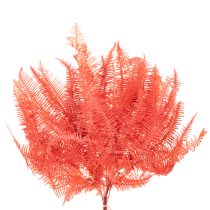 Produkt Paprocie, suszone kwiaty, dekoracja jesienna, 60 cm, 10 szt.