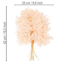 Produkt Suszona paproć ozdoba do wazonu 42cm 10szt