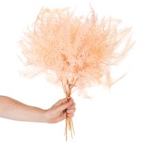 Produkt Suszone liście paproci, ozdoba z paproci do wazonów, 60 cm, 10 szt.
