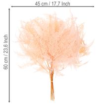 Produkt Suszone liście paproci, ozdoba z paproci do wazonów, 60 cm, 10 szt.