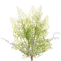Produkt Sztuczna zielona gałązka ruskusa do dekoracji kwiatowych, 41 cm