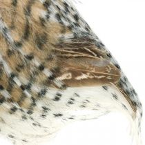 Produkt Leśna sowa, jesienna dekoracja, dekoracyjna sowa, Halloween H16cm