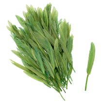 Produkt Dekoracyjne pióra dla stylowego otoczenia i imponujących dekoracji 10 cm