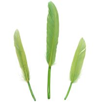 Produkt Dekoracyjne pióra dla stylowego otoczenia i imponujących dekoracji 10 cm