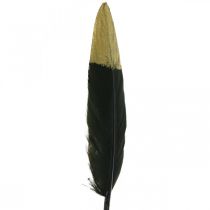 Pióra ozdobne czarne, złote prawdziwe piórka do rękodzieła 12-14cm 72szt