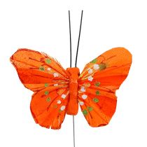 Motyle pióra 6cm żółte, pomarańczowe 24szt.