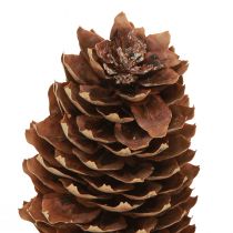 Produkt Szyszki świerkowe naturalne szyszki dekoracyjne do rękodzieła 10-11cm 5 szt
