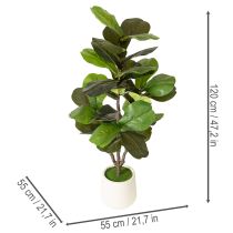 Produkt Sztuczny Ficus lyrata 120 cm dekoracyjny do salonu